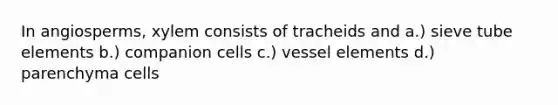 In angiosperms, xylem consists of tracheids and a.) sieve tube elements b.) companion cells c.) vessel elements d.) parenchyma cells