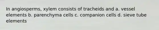 In angiosperms, xylem consists of tracheids and a. vessel elements b. parenchyma cells c. companion cells d. sieve tube elements