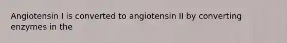 Angiotensin I is converted to angiotensin II by converting enzymes in the