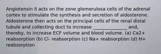 Angiotensin II acts on the zone glomerulosa cells of the adrenal cortex to stimulate the synthesis and secretion of aldosterone. Aldosterone then acts on the principal cells of the renal distal tubule and collecting duct to increase _______________ and, thereby, to increase ECF volume and blood volume. (a) Ca2+ reabsorption (b) Cl- reabsorption (c) Na+ reabsorption (d) H+ reabsorption