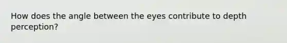 How does the angle between the eyes contribute to depth perception?