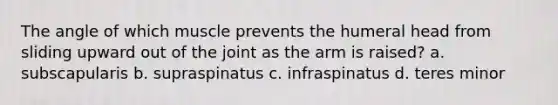 The angle of which muscle prevents the humeral head from sliding upward out of the joint as the arm is raised? a. subscapularis b. supraspinatus c. infraspinatus d. teres minor