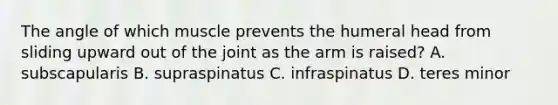 The angle of which muscle prevents the humeral head from sliding upward out of the joint as the arm is raised? A. subscapularis B. supraspinatus C. infraspinatus D. teres minor