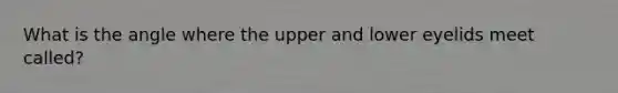 What is the angle where the upper and lower eyelids meet called?