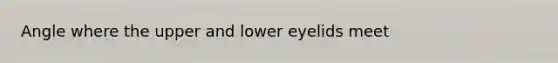 Angle where the upper and lower eyelids meet