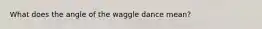 What does the angle of the waggle dance mean?