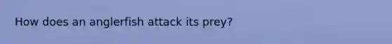How does an anglerfish attack its prey?