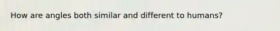 How are angles both similar and different to humans?