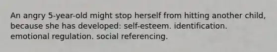 An angry 5-year-old might stop herself from hitting another child, because she has developed: self-esteem. identification. emotional regulation. social referencing.