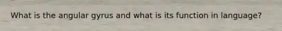 What is the angular gyrus and what is its function in language?