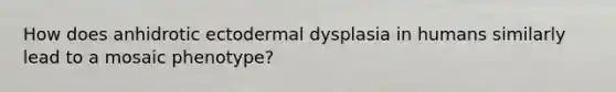 How does anhidrotic ectodermal dysplasia in humans similarly lead to a mosaic phenotype?