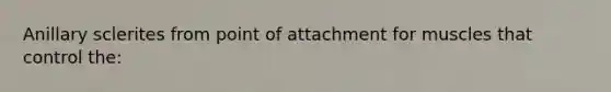 Anillary sclerites from point of attachment for muscles that control the: