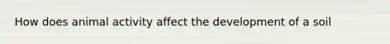 How does animal activity affect the development of a soil