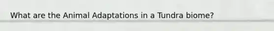 What are the Animal Adaptations in a Tundra biome?