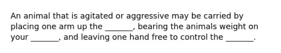 An animal that is agitated or aggressive may be carried by placing one arm up the _______, bearing the animals weight on your _______, and leaving one hand free to control the _______.