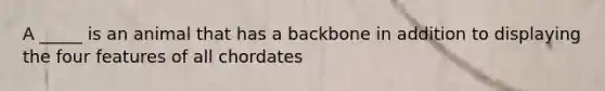 A _____ is an animal that has a backbone in addition to displaying the four features of all chordates