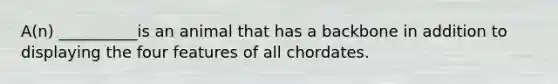 A(n) __________is an animal that has a backbone in addition to displaying the four features of all chordates.