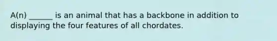 A(n) ______ is an animal that has a backbone in addition to displaying the four features of all chordates.