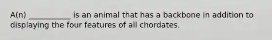 A(n) ___________ is an animal that has a backbone in addition to displaying the four features of all chordates.