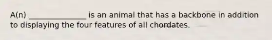 A(n) _______________ is an animal that has a backbone in addition to displaying the four features of all chordates.