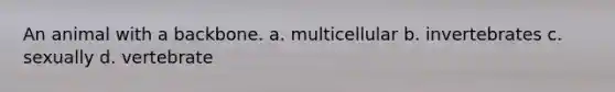 An animal with a backbone. a. multicellular b. invertebrates c. sexually d. vertebrate