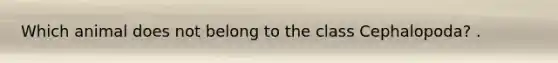 Which animal does not belong to the class Cephalopoda? .