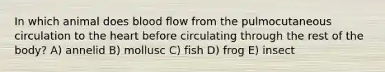 In which animal does blood flow from the pulmocutaneous circulation to <a href='https://www.questionai.com/knowledge/kya8ocqc6o-the-heart' class='anchor-knowledge'>the heart</a> before circulating through the rest of the body? A) annelid B) mollusc C) fish D) frog E) insect