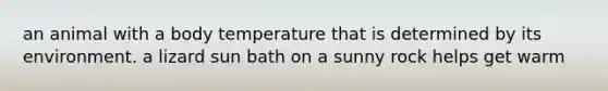 an animal with a body temperature that is determined by its environment. a lizard sun bath on a sunny rock helps get warm