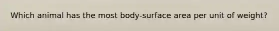 Which animal has the most body-surface area per unit of weight?