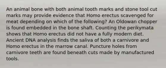 An animal bone with both animal tooth marks and stone tool cut marks may provide evidence that Homo erectus scavenged for meat depending on which of the following? An Oldowan chopper is found embedded in the bone shaft. Counting the perikymata shows that Homo erectus did not have a fully modern diet. Ancient DNA analysis finds the saliva of both a carnivore and Homo erectus in the marrow canal. Puncture holes from carnivore teeth are found beneath cuts made by manufactured tools.