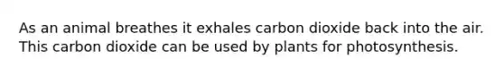 As an animal breathes it exhales carbon dioxide back into the air. This carbon dioxide can be used by plants for photosynthesis.