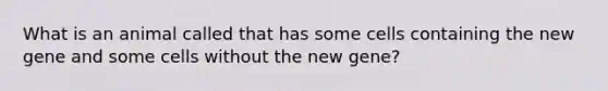 What is an animal called that has some cells containing the new gene and some cells without the new gene?