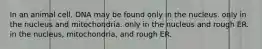 In an animal cell, DNA may be found only in the nucleus. only in the nucleus and mitochondria. only in the nucleus and rough ER. in the nucleus, mitochondria, and rough ER.