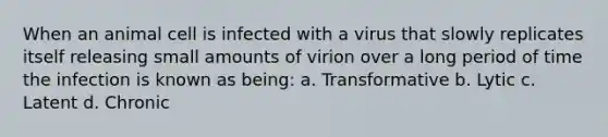 When an animal cell is infected with a virus that slowly replicates itself releasing small amounts of virion over a long period of time the infection is known as being: a. Transformative b. Lytic c. Latent d. Chronic