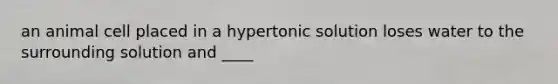 an animal cell placed in a hypertonic solution loses water to the surrounding solution and ____