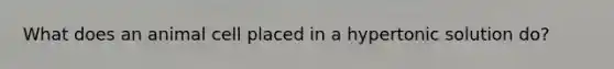 What does an animal cell placed in a hypertonic solution do?