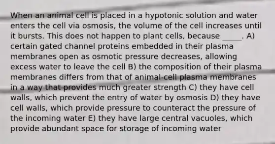 When an animal cell is placed in a hypotonic solution and water enters the cell via osmosis, the volume of the cell increases until it bursts. This does not happen to plant cells, because _____. A) certain gated channel proteins embedded in their plasma membranes open as osmotic pressure decreases, allowing excess water to leave the cell B) the composition of their plasma membranes differs from that of animal-cell plasma membranes in a way that provides much greater strength C) they have cell walls, which prevent the entry of water by osmosis D) they have cell walls, which provide pressure to counteract the pressure of the incoming water E) they have large central vacuoles, which provide abundant space for storage of incoming water