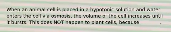 When an animal cell is placed in a hypotonic solution and water enters the cell via osmosis, the volume of the cell increases until it bursts. This does NOT happen to plant cells, because ________.