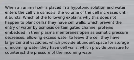 When an animal cell is placed in a hypotonic solution and water enters the cell via osmosis, the volume of the cell increases until it bursts. Which of the following explains why this does not happen to plant cells? they have cell walls, which prevent the entry of water by osmosis certain gated channel proteins embedded in their plasma membranes open as osmotic pressure decreases, allowing excess water to leave the cell they have large central vacuoles, which provide abundant space for storage of incoming water they have cell walls, which provide pressure to counteract the pressure of the incoming water