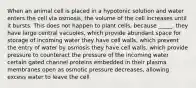 When an animal cell is placed in a hypotonic solution and water enters the cell via osmosis, the volume of the cell increases until it bursts. This does not happen to plant cells, because _____. they have large central vacuoles, which provide abundant space for storage of incoming water they have cell walls, which prevent the entry of water by osmosis they have cell walls, which provide pressure to counteract the pressure of the incoming water certain gated channel proteins embedded in their plasma membranes open as osmotic pressure decreases, allowing excess water to leave the cell