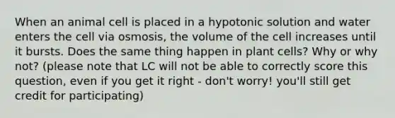 When an animal cell is placed in a hypotonic solution and water enters the cell via osmosis, the volume of the cell increases until it bursts. Does the same thing happen in plant cells? Why or why not? (please note that LC will not be able to correctly score this question, even if you get it right - don't worry! you'll still get credit for participating)