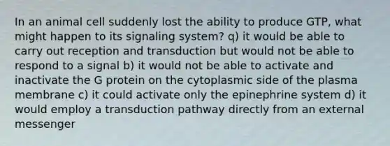 In an animal cell suddenly lost the ability to produce GTP, what might happen to its signaling system? q) it would be able to carry out reception and transduction but would not be able to respond to a signal b) it would not be able to activate and inactivate the G protein on the cytoplasmic side of the plasma membrane c) it could activate only the epinephrine system d) it would employ a transduction pathway directly from an external messenger