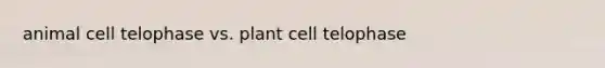 animal cell telophase vs. plant cell telophase