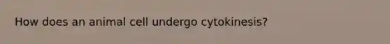 How does an animal cell undergo cytokinesis?