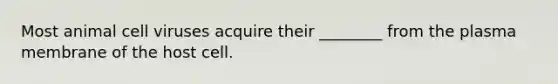 Most animal cell viruses acquire their ________ from the plasma membrane of the host cell.