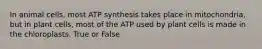 In animal cells, most ATP synthesis takes place in mitochondria, but in plant cells, most of the ATP used by plant cells is made in the chloroplasts. True or False