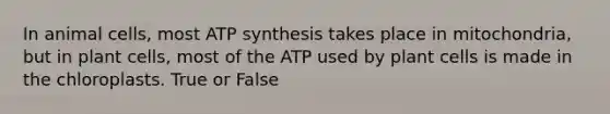 In animal cells, most <a href='https://www.questionai.com/knowledge/kx3XpCJrFz-atp-synthesis' class='anchor-knowledge'>atp synthesis</a> takes place in mitochondria, but in plant cells, most of the ATP used by plant cells is made in the chloroplasts. True or False