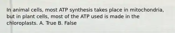 In animal cells, most <a href='https://www.questionai.com/knowledge/kx3XpCJrFz-atp-synthesis' class='anchor-knowledge'>atp synthesis</a> takes place in mitochondria, but in plant cells, most of the ATP used is made in the chloroplasts. A. True B. False