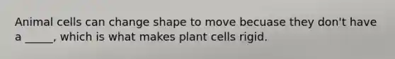 Animal cells can change shape to move becuase they don't have a _____, which is what makes plant cells rigid.