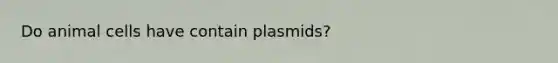 Do animal cells have contain plasmids?